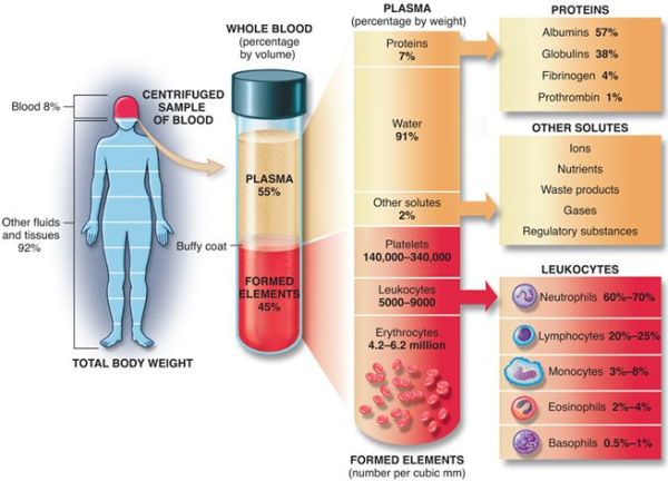 Prolotherapy Injection